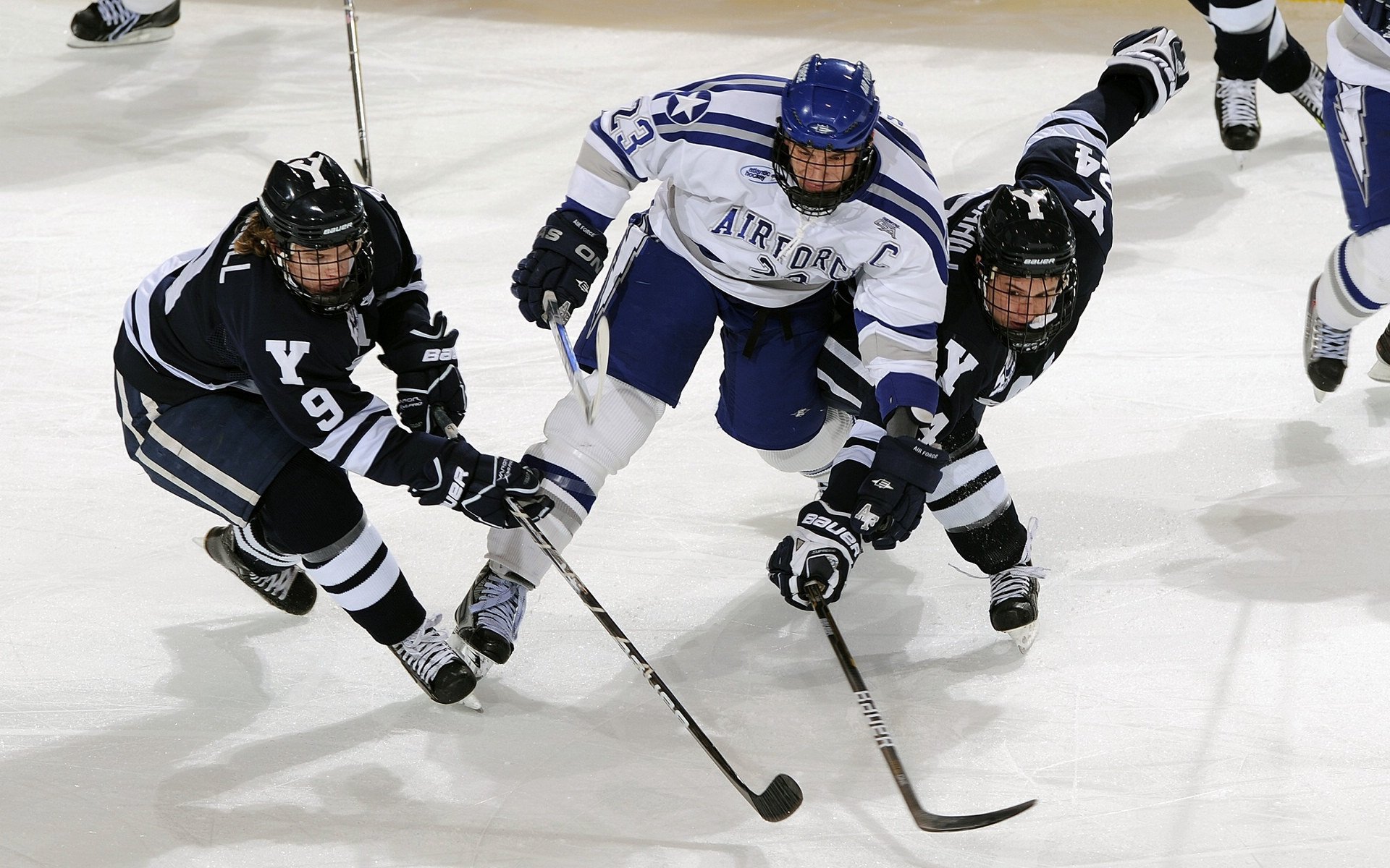 开拓者官方:球队已经从发展联盟中召回杨瀚森,开拓者 球队