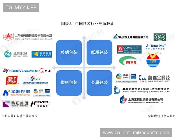 “中国足球产业链布局优化，融合创新提升竞争力”，中国足球产业发展现状